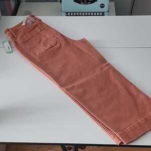Madewell Coral Denim Pants